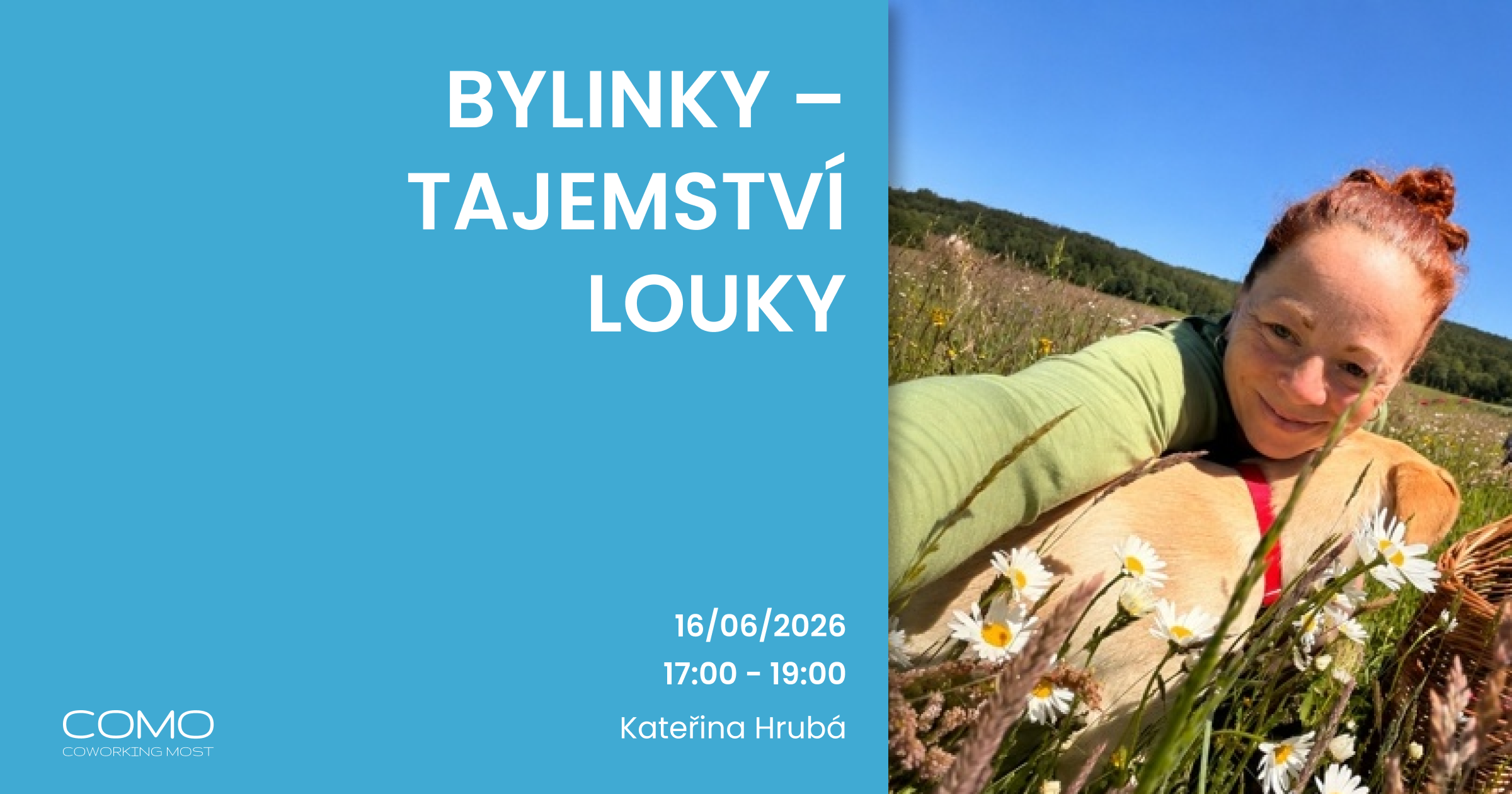 Bylinky – tajemství louky