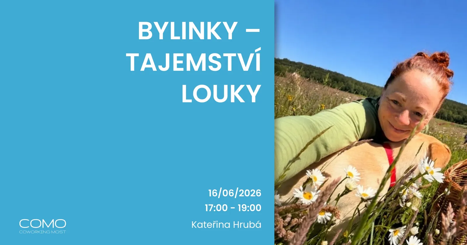 Bylinky – tajemství louky